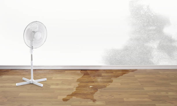 Best Water damage restoration process  in Green Springs, OH
