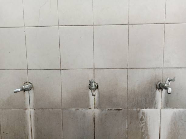 Best 24/7 water damage repair  in Green Springs, OH