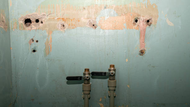 Best Water damage restoration near me  in Green Springs, OH