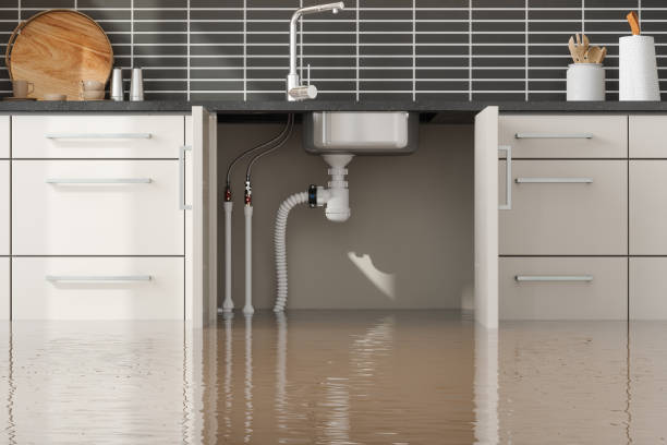 Best Water damage restoration specialists  in Green Springs, OH