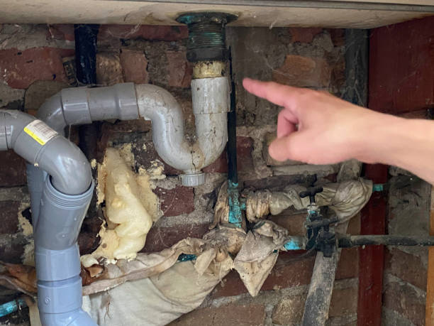 Best Flood damage cleanup  in Green Springs, OH