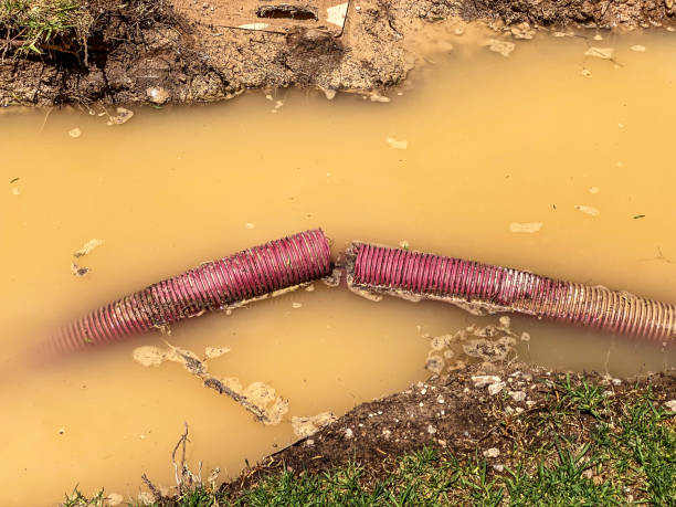 Best Water damage restoration near me  in Green Springs, OH