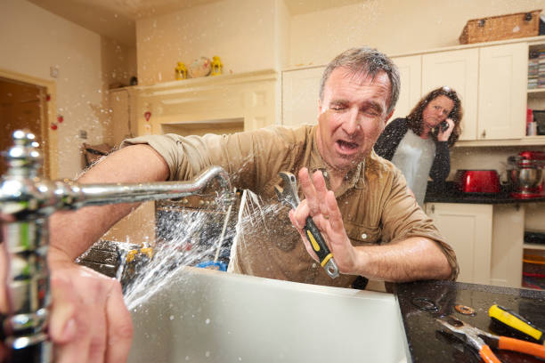 Best Water damage contractors near me  in Green Springs, OH